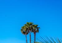 Venta - Apartamento - Gran Alacant - Novamar