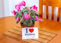 Venta - Apartamento - Gran Alacant - Puerto Marino