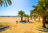 Venta - Apartamento - Santa Pola - Santa Pola del Este