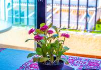 Venta - Bungalow - Gran Alacant - Gran Vista