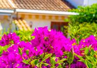 Venta - Bungalow - Gran Alacant - Gran Vista
