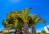 Venta - Bungalow - Gran Alacant - Gran Vista