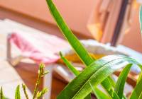 Venta - Casa Esquina - Gran Alacant - Puerto Marino