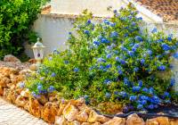 Venta - Chalet Independiente - Gran Alacant - Monte y Mar