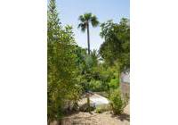 Venta - Villa - Alfaz del Pi - Albir