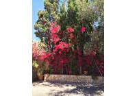 Venta - Villa - Alicante - Cabo Huertas