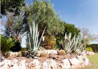 Venta - Villa - Elche - Perleta