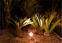 Venta - Villa - Elche - Perleta