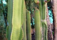 Venta - Villa - Gran Alacant - Isla de Izaro