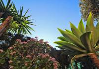 Venta - Villa - Gran Alacant - Isla de Izaro