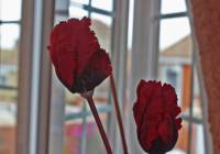 Venta - Villa - Gran Alacant - Monte y Mar