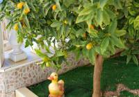 Venta - Villa - Gran Alacant - Monte y Mar