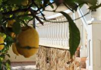 Venta - Villa - Gran Alacant - Monte y Mar