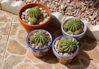 Venta - Villa - Gran Alacant - Monte y Mar