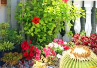 Venta - Villa - Gran Alacant - Monte y Mar