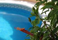 Venta - Villa - Gran Alacant - Monte y Mar