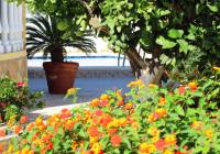 Venta - Villa - Gran Alacant - Monte y Mar