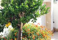 Venta - Villa - Gran Alacant - Monte y Mar