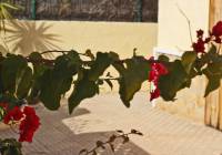 Venta - Villa - Gran Alacant - Monte y Mar