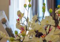 Venta - Villa - Gran Alacant - Monte y Mar