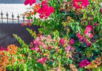 Venta - Villa - Gran Alacant - Monte y Mar