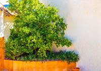 Venta - Villa - Gran Alacant - Monte y Mar