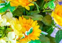 Venta - Villa - Gran Alacant - Monte y Mar