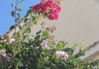 Venta - Villa - Gran Alacant - Monte y Mar