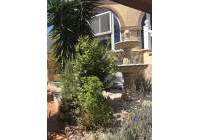 Venta - Villa - Gran Alacant - Monte y Mar