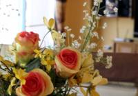 Venta - Villa - Gran Alacant - Monte y Mar