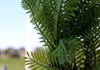 Venta - Villa - Gran Alacant - Monte y Mar