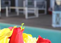 Venta - Villa - Gran Alacant - Monte y Mar