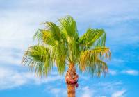 Venta - Villa - Gran Alacant - Monte y Mar