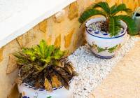 Venta - Villa - Gran Alacant - Monte y Mar