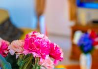 Venta - Villa - Gran Alacant - Monte y Mar