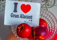 Venta - Villa - Gran Alacant - Monte y Mar