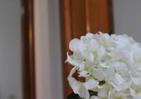 Venta - Villa - Gran Alacant - Monte y Mar