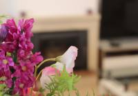 Venta - Villa - Gran Alacant - Monte y Mar