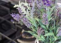 Venta - Villa - Gran Alacant - Monte y Mar