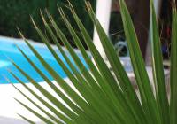 Venta - Villa - Gran Alacant - Monte y Mar