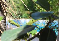 Venta - Villa - Gran Alacant - Monte y Mar