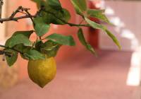 Venta - Villa - Gran Alacant - Monte y Mar