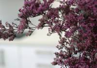 Venta - Villa - Gran Alacant - Monte y Mar