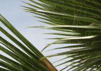 Venta - Villa - Gran Alacant - Monte y Mar