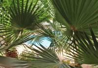 Venta - Villa - Gran Alacant - Monte y Mar