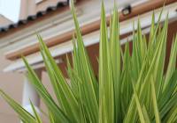 Venta - Villa - Gran Alacant - Puerto Marino