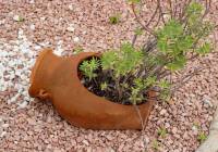 Venta - Villa - Gran Alacant - Puerto Marino