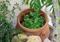 Venta - Villa - Gran Alacant - Puerto Marino