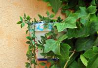 Venta - Villa - Gran Alacant - Puerto Marino