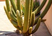 Venta - Villa - Gran Alacant - Puerto Marino